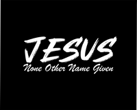 Load image into Gallery viewer, None Other Name Given - Hoodie