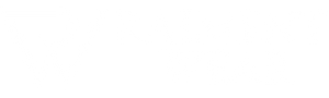 Raiment Wear